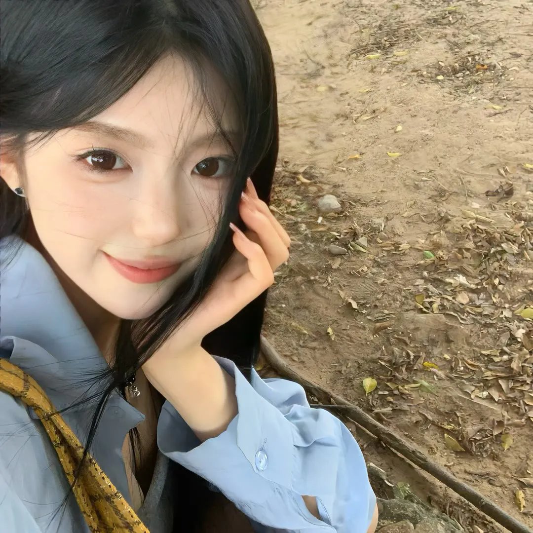 猫贼