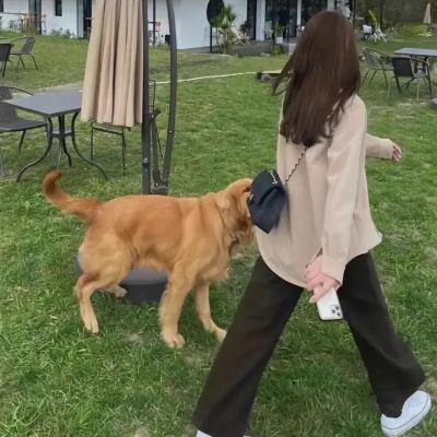 我们的美好时光