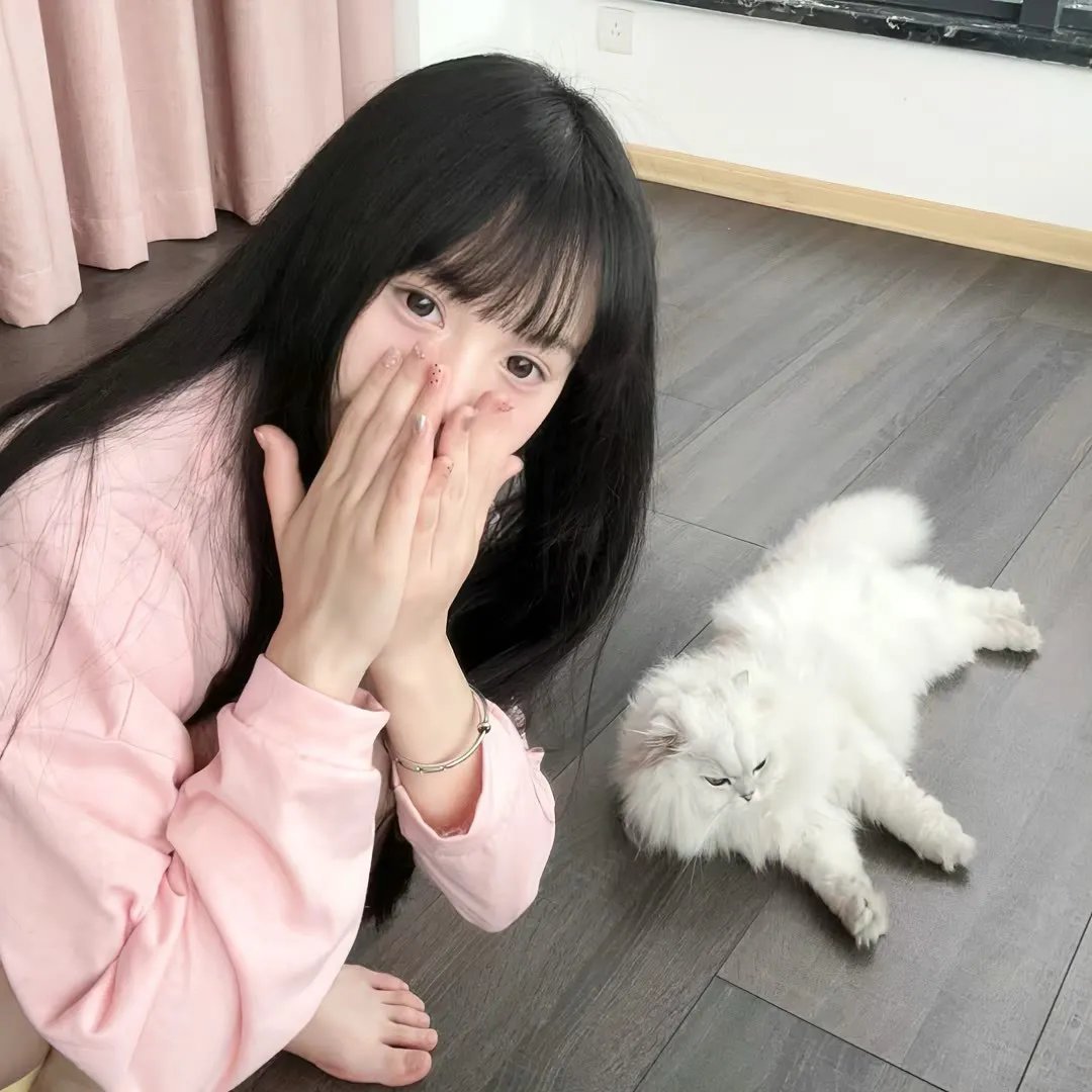 飞蛾日记