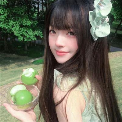 完美伴侣